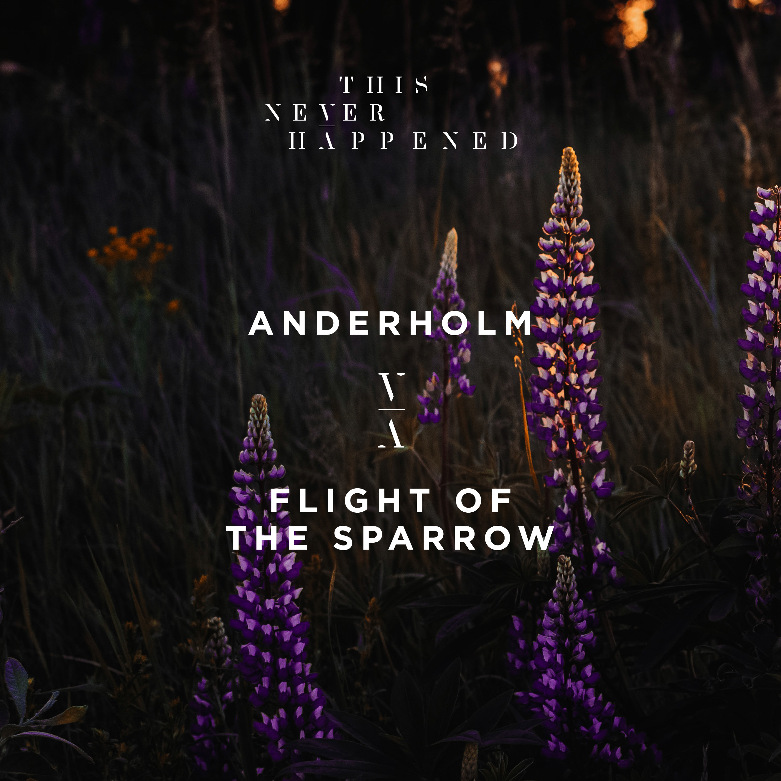 Anderholm relases mini album via This Never Happned